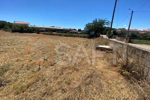 Tomt i Izeda, Calvelhe e Paradinha Nova, Braganca, Izeda, Calvelhe e Paradinha Nova - € 90 000 | Ref: SAFTI:003684 - foto 3