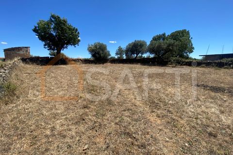 Tomt i Izeda, Calvelhe e Paradinha Nova, Braganca, Izeda, Calvelhe e Paradinha Nova - € 90 000 | Ref: SAFTI:003684 - foto 7