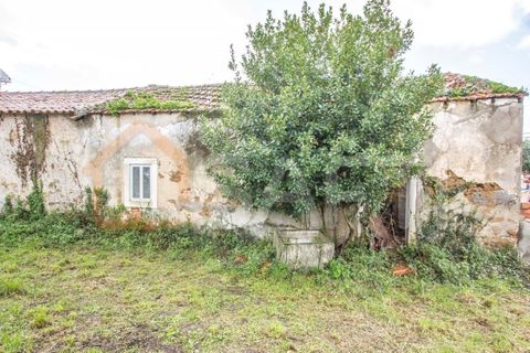 Landejendom i Alcobaca, Leiria, Alcobaca - € 95.000 | Ref: SAFTI:004276 - foto 4