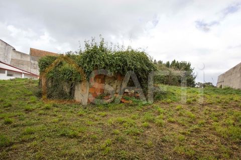 Landejendom i Alcobaca, Leiria, Alcobaca - € 95.000 | Ref: SAFTI:004276 - foto 3