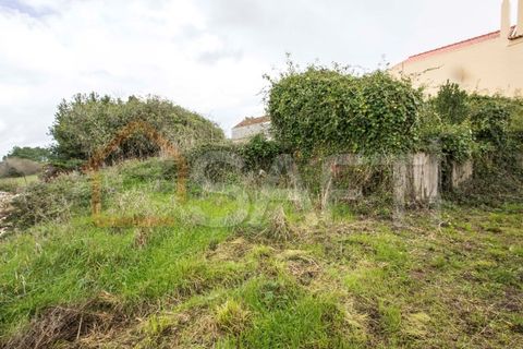 Landejendom i Alcobaca, Leiria, Alcobaca - € 95.000 | Ref: SAFTI:004276 - foto 5