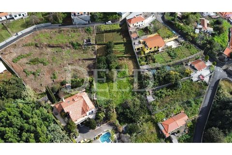Terra a Sao Roque, Madeira, Sao Roque - € 120.000 | Ref: DEED/675 - foto 2