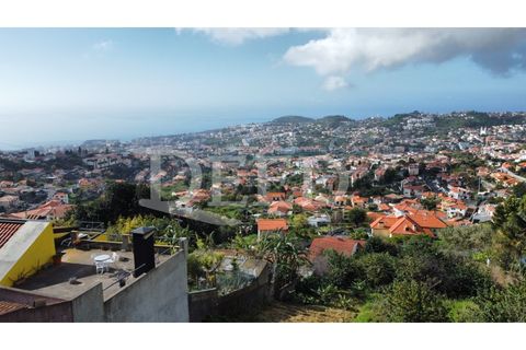 Terra a Sao Roque, Madeira, Sao Roque - € 120.000 | Ref: DEED/675 - foto 3