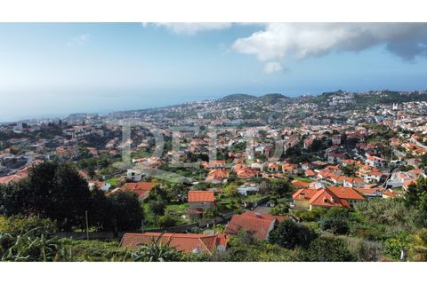 Terra a Sao Roque, Madeira, Sao Roque - € 120.000 | Ref: DEED/675 - foto 4
