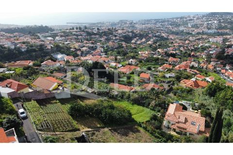 Terra a Sao Roque, Madeira, Sao Roque - € 120.000 | Ref: DEED/675 - foto 5