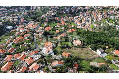 Terra a Sao Roque, Madeira, Sao Roque - € 120.000 | Ref: DEED/675 - foto 6