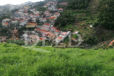 Helårsgrund i Sao Roque, Madeira, Sao Roque - € 150.000 | Ref: DEED/637 - foto 2
