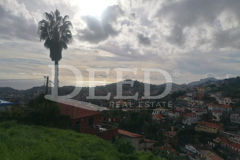 Helårsgrund i Sao Roque, Madeira, Sao Roque - € 150.000 | Ref: DEED/637 - foto 3
