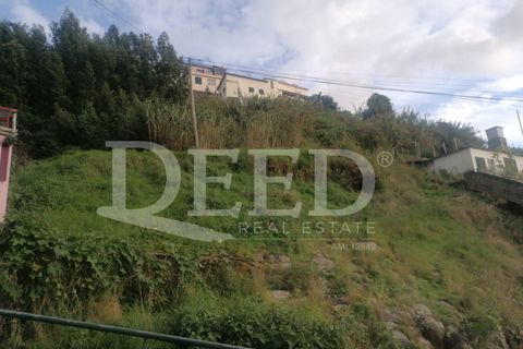Helårsgrund i Sao Roque, Madeira, Sao Roque - € 150.000 | Ref: DEED/637 - foto 4
