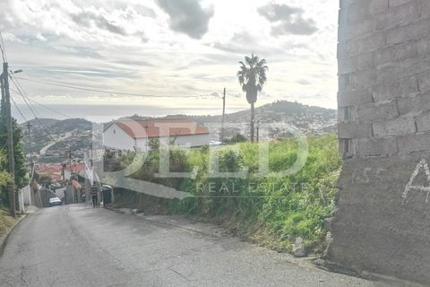 Helårsgrund i Sao Roque, Madeira, Sao Roque - € 150.000 | Ref: DEED/637 - foto 5
