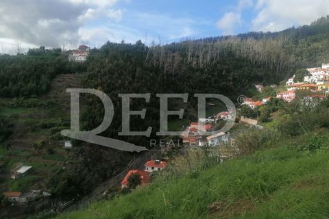 Helårsgrund i Sao Roque, Madeira, Sao Roque - € 150.000 | Ref: DEED/637 - foto 9