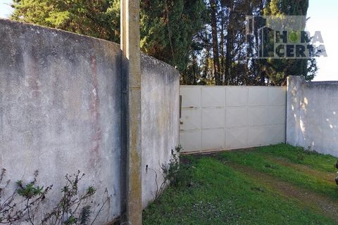 Farm i Torres Vedras, Lisbon, Torres Vedras - € 385.000 | Ref: 1773/TRV/JB - foto 2