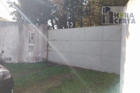 Farm i Torres Vedras, Lisbon, Torres Vedras - € 385.000 | Ref: 1773/TRV/JB - foto 3
