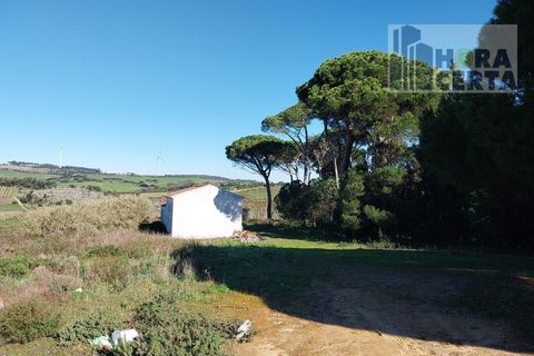 Farm i Torres Vedras, Lisbon, Torres Vedras - € 385.000 | Ref: 1773/TRV/JB - foto 4