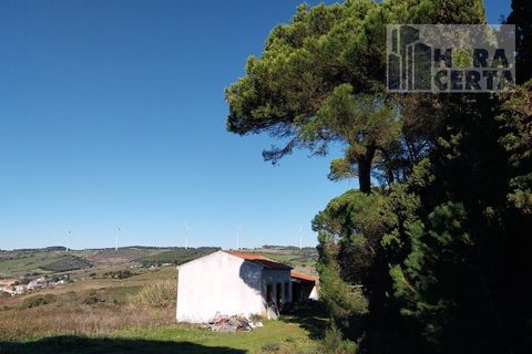 Farm i Torres Vedras, Lisbon, Torres Vedras - € 385.000 | Ref: 1773/TRV/JB - foto 5