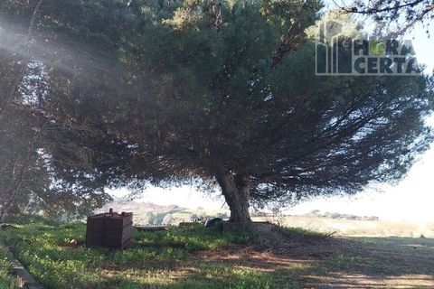 Farm i Torres Vedras, Lisbon, Torres Vedras - € 385.000 | Ref: 1773/TRV/JB - foto 7