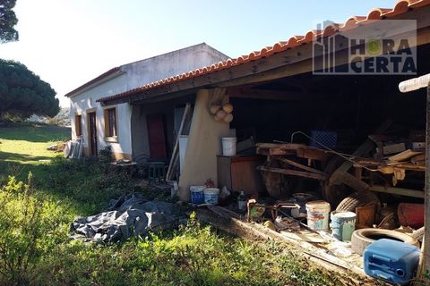 Farm i Torres Vedras, Lisbon, Torres Vedras - € 385.000 | Ref: 1773/TRV/JB - foto 8