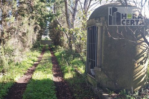 Farm i Torres Vedras, Lisbon, Torres Vedras - € 385.000 | Ref: 1773/TRV/JB - foto 9