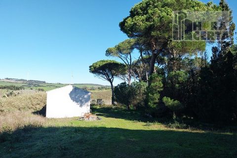 Farm i Torres Vedras, Lisbon, Torres Vedras - € 385.000 | Ref: 1773/TRV/JB - foto 10