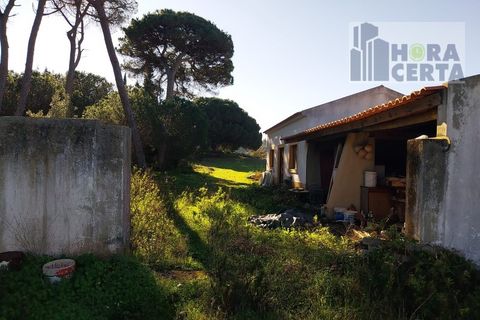 Farm i Torres Vedras, Lisbon, Torres Vedras - € 385.000 | Ref: 1773/TRV/JB - foto 11