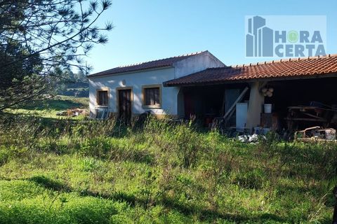 Farm i Torres Vedras, Lisbon, Torres Vedras - € 385.000 | Ref: 1773/TRV/JB - foto 12