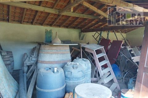 Farm i Torres Vedras, Lisbon, Torres Vedras - € 385.000 | Ref: 1773/TRV/JB - foto 14