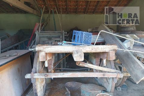 Farm i Torres Vedras, Lisbon, Torres Vedras - € 385.000 | Ref: 1773/TRV/JB - foto 15
