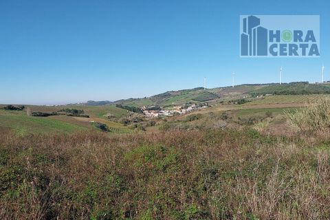 Farm i Torres Vedras, Lisbon, Torres Vedras - € 385.000 | Ref: 1773/TRV/JB - foto 18
