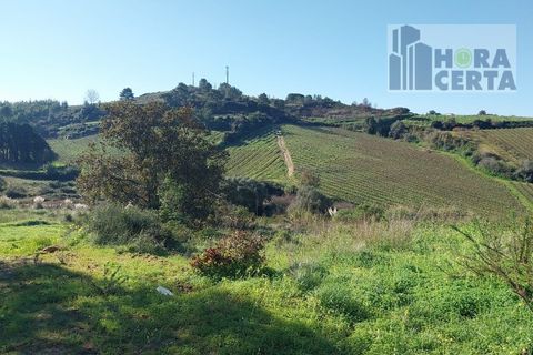 Farm i Torres Vedras, Lisbon, Torres Vedras - € 385.000 | Ref: 1773/TRV/JB - foto 19