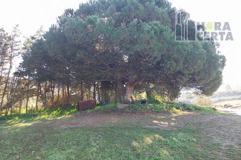 Farm i Torres Vedras, Lisbon, Torres Vedras - € 385.000 | Ref: 1773/TRV/JB - foto 20
