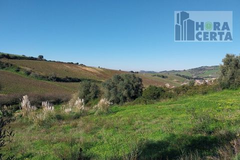 Farm i Torres Vedras, Lisbon, Torres Vedras - € 385.000 | Ref: 1773/TRV/JB - foto 23