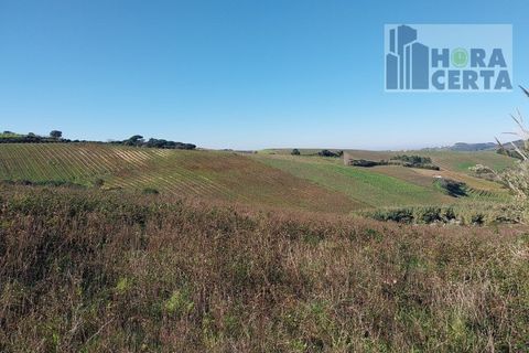 Farm i Torres Vedras, Lisbon, Torres Vedras - € 385.000 | Ref: 1773/TRV/JB - foto 26