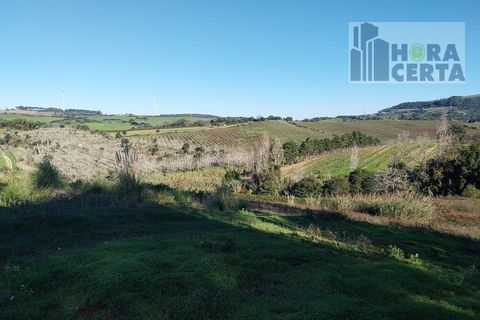 Farm i Torres Vedras, Lisbon, Torres Vedras - € 385.000 | Ref: 1773/TRV/JB - foto 27
