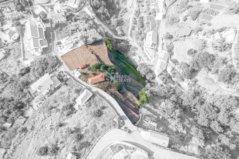 Villa i Calheta, Madeira, Calheta - € 490.000 | Ref: 071773 - foto 8