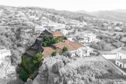 Villa i Calheta, Madeira, Calheta - € 490.000 | Ref: 071773 - foto 18