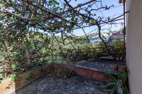 Villa i Calheta, Madeira, Calheta - € 490.000 | Ref: 071773 - foto 38