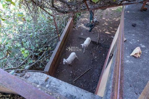 Villa i Calheta, Madeira, Calheta - € 490.000 | Ref: 071773 - foto 39