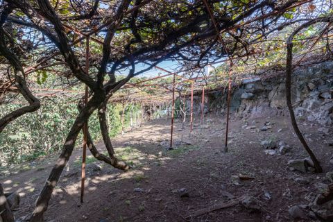 Villa i Calheta, Madeira, Calheta - € 490.000 | Ref: 071773 - foto 43