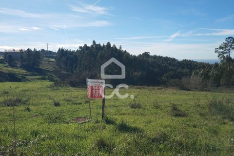 Terra a Penacova, Coimbra, Penacova - € 75.000 | Ref: 385/T/00633 - foto 2