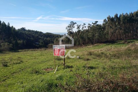 Terra a Penacova, Coimbra, Penacova - € 75.000 | Ref: 385/T/00633 - foto 3