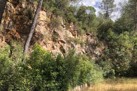 Działka: Carcès, Var, Carcès – 22 000 € | Ref: 3650 – zdjęcie 1