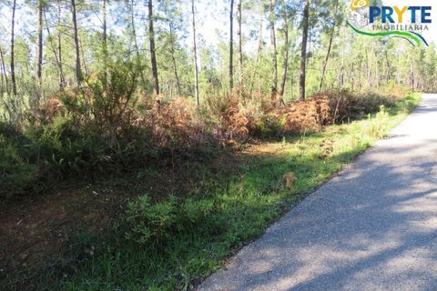 Helårsgrund i Serta, Castelo Branco, Serta - € 12.000 | Ref: VF283 - foto 1