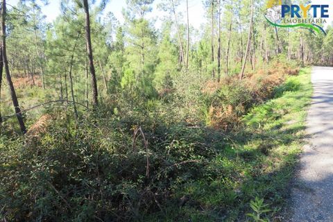 Helårsgrund i Serta, Castelo Branco, Serta - € 12.000 | Ref: VF283 - foto 2