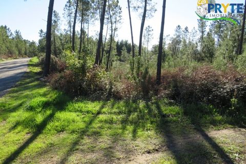 Helårsgrund i Serta, Castelo Branco, Serta - € 12.000 | Ref: VF283 - foto 3