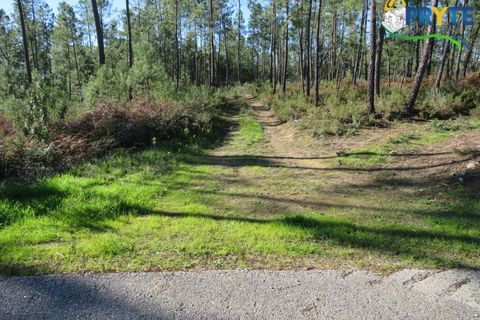 Helårsgrund i Serta, Castelo Branco, Serta - € 12.000 | Ref: VF283 - foto 4
