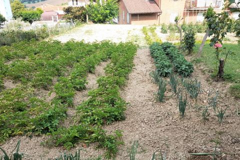 Villa a Ostra, Ancona, Ostra - € 95.000 | Ref: RU002 - foto 5