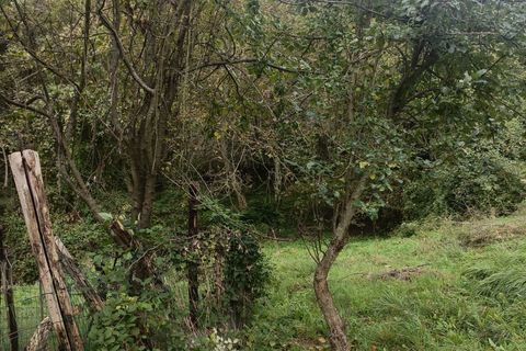 Villa a Ceranesi, Genoa, Ceranesi - € 230.000 | Ref: 26844 - foto 28