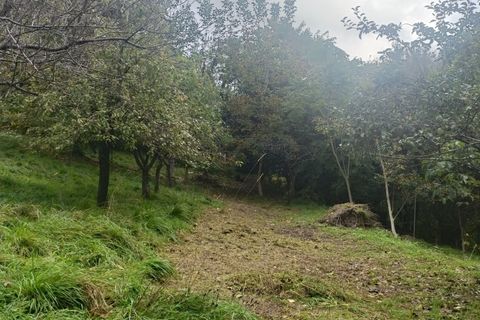 Villa a Ceranesi, Genoa, Ceranesi - € 230.000 | Ref: 26844 - foto 29