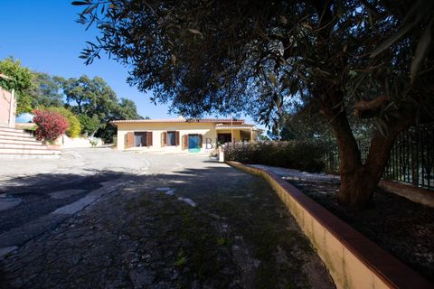 Villa i Luras, Sassari, Luras - € 420.000 | Ref: OT-118AT - foto 2