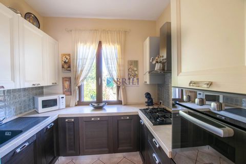 Villa i Luras, Sassari, Luras - € 420.000 | Ref: OT-118AT - foto 11